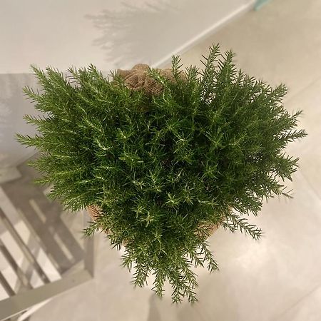 Viesterooms Dış mekan fotoğraf
