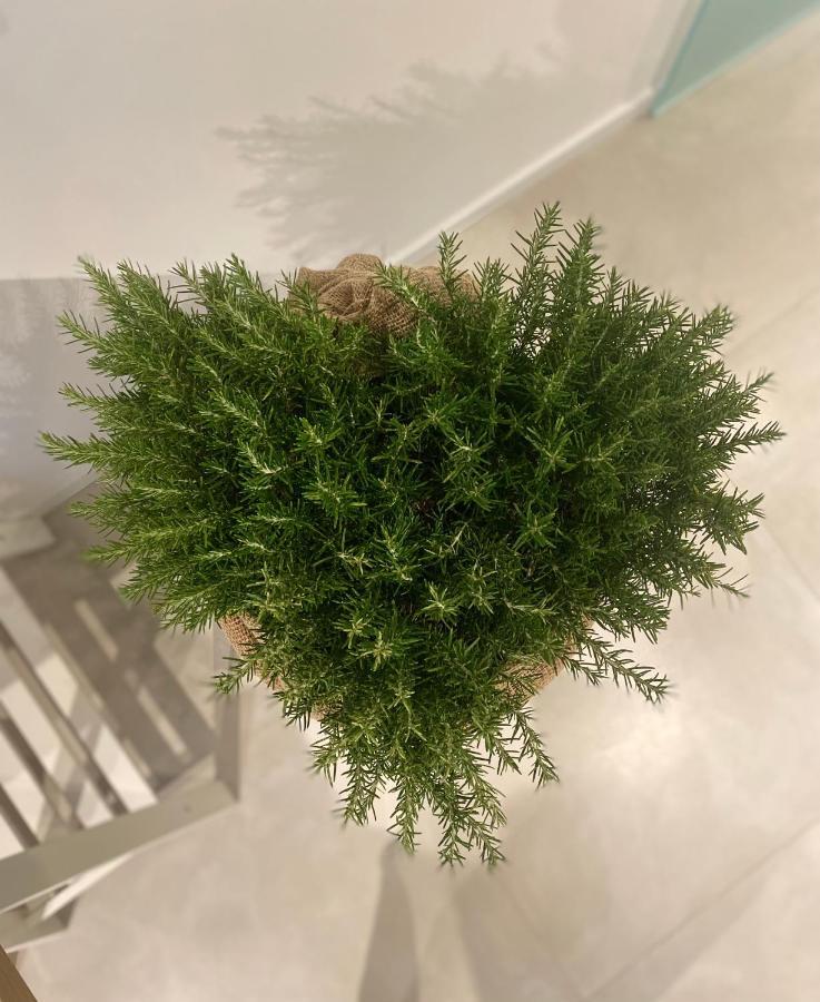 Viesterooms Dış mekan fotoğraf
